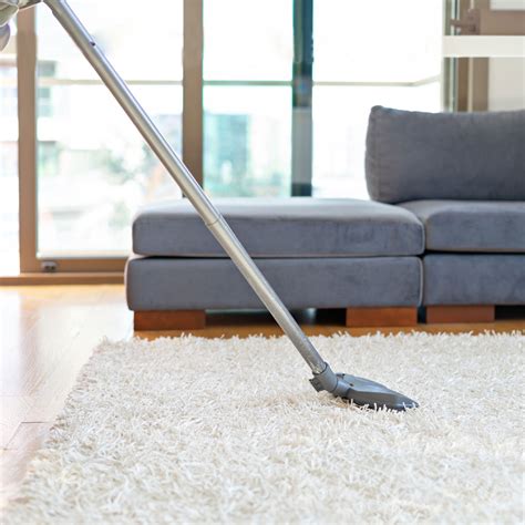 rug intitle expert|Expert Rug Spa.